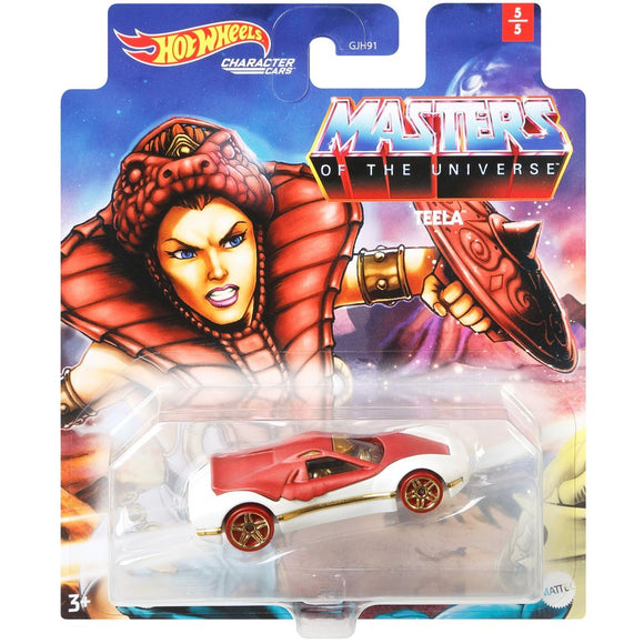 HOT WHEELS DIECAST - Masters of the Universe Teela